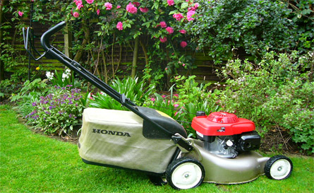 Gardening in Oxford